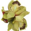 Collectif Aaliyah Orchid Hair Flower - Lime | Hair Accessories