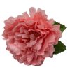 That Shop Large Peony Hair Flower - Pink | Hair Accessories