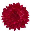 That Shop Large Chrysanthemum Hair Flower - Cerise | Hair Accessories