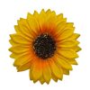 That Shop Sunflower Hair Flower - Medium | Hair Accessories